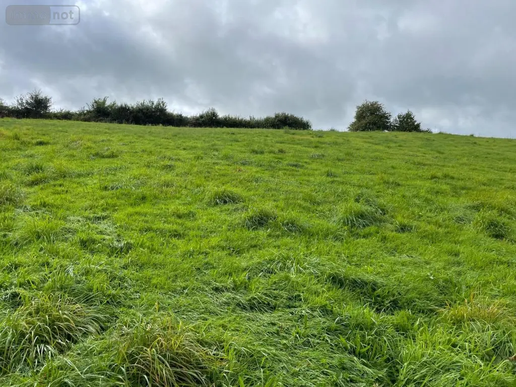 Terrains de loisirs bois etangs a vendre Reffuveille 50520 Manche 50 21800 euros 50020-1438 002