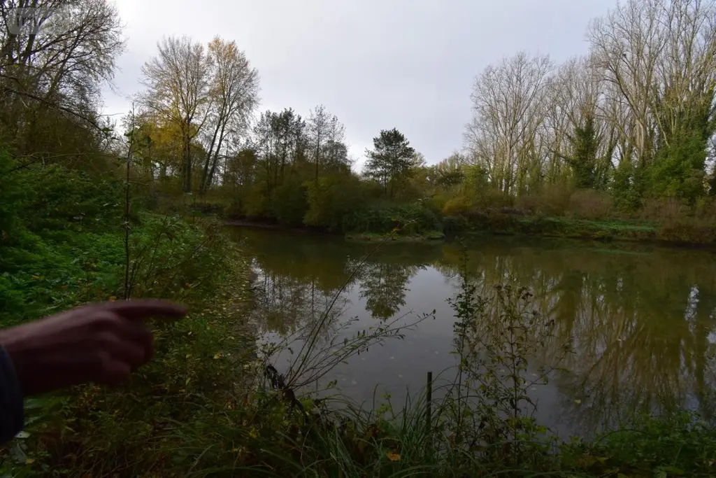 Terrains de loisirs bois etangs a vendre Cambrai 59400 Nord 59 780000 euros 59085-1457 006