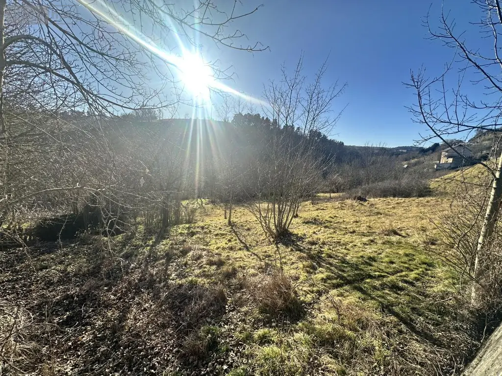 Terrain a batir a vendre Saint-Flour 15100 Cantal 15 32000 euros 15046-26 001