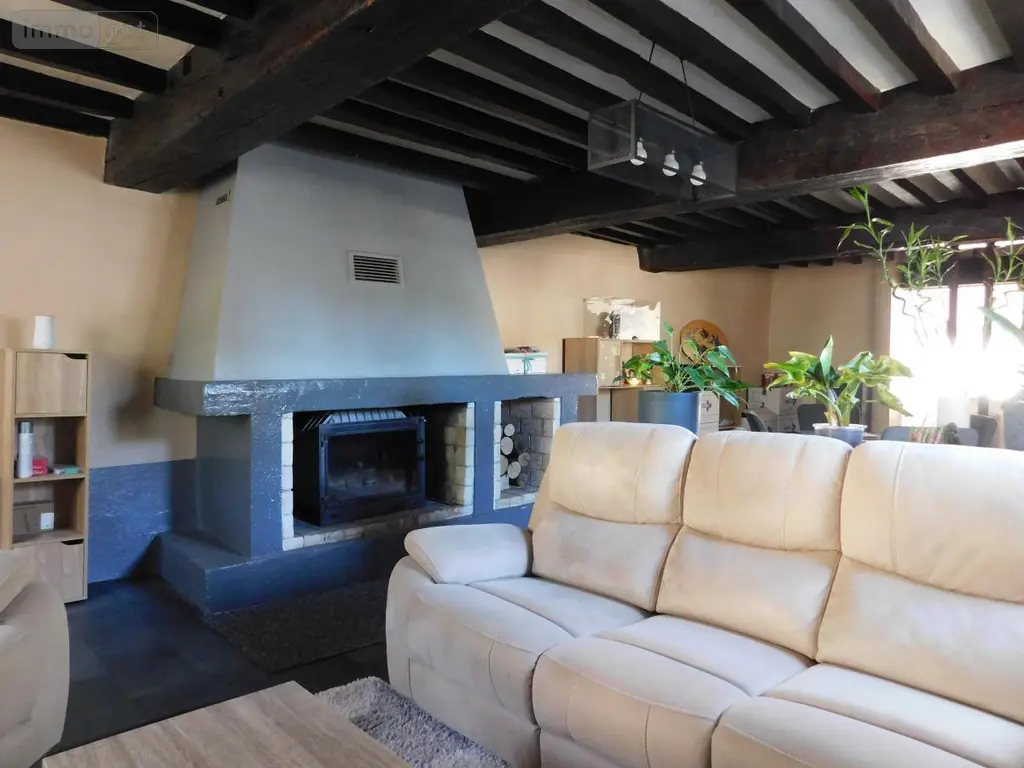 Maison a vendre Druillat 01160 Ain 01 238 m2 5 pièces 270000 euros 01016-526 007