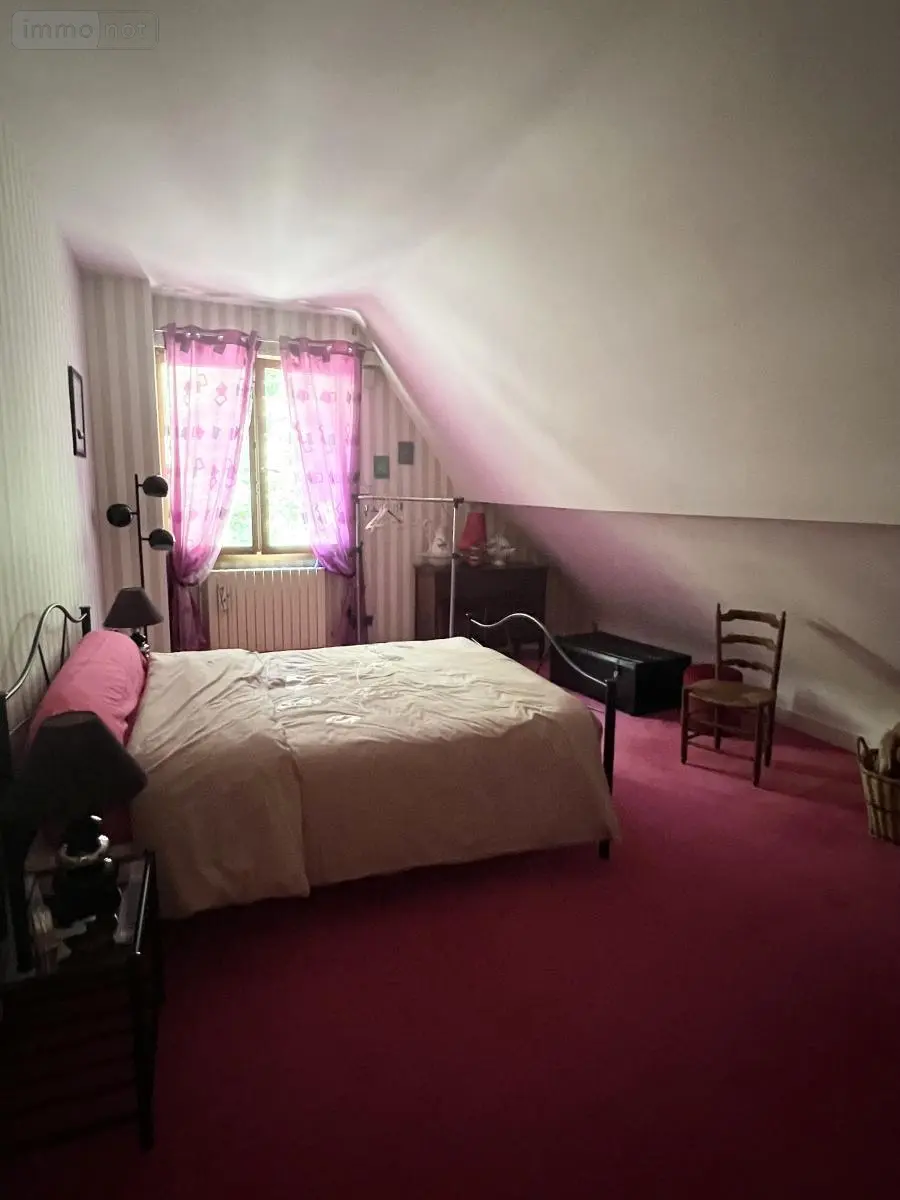 Maison a vendre Marchenoir 41370 Loir-et-Cher 41 231 m2 6 pièces 609000 euros 41029-13 012