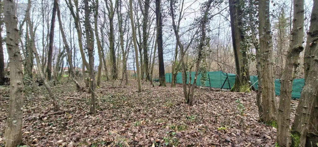 Terrain a batir a vendre Ribécourt-Dreslincourt 60170 Oise 60 69250 euros 60051-965 003