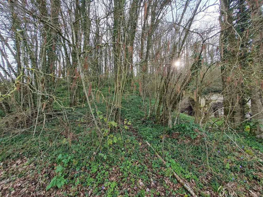Divers a vendre Saint-Rimay 41800 Loir-et-Cher 41 87 m2 4 pièces 19800 euros 41059-1013 010