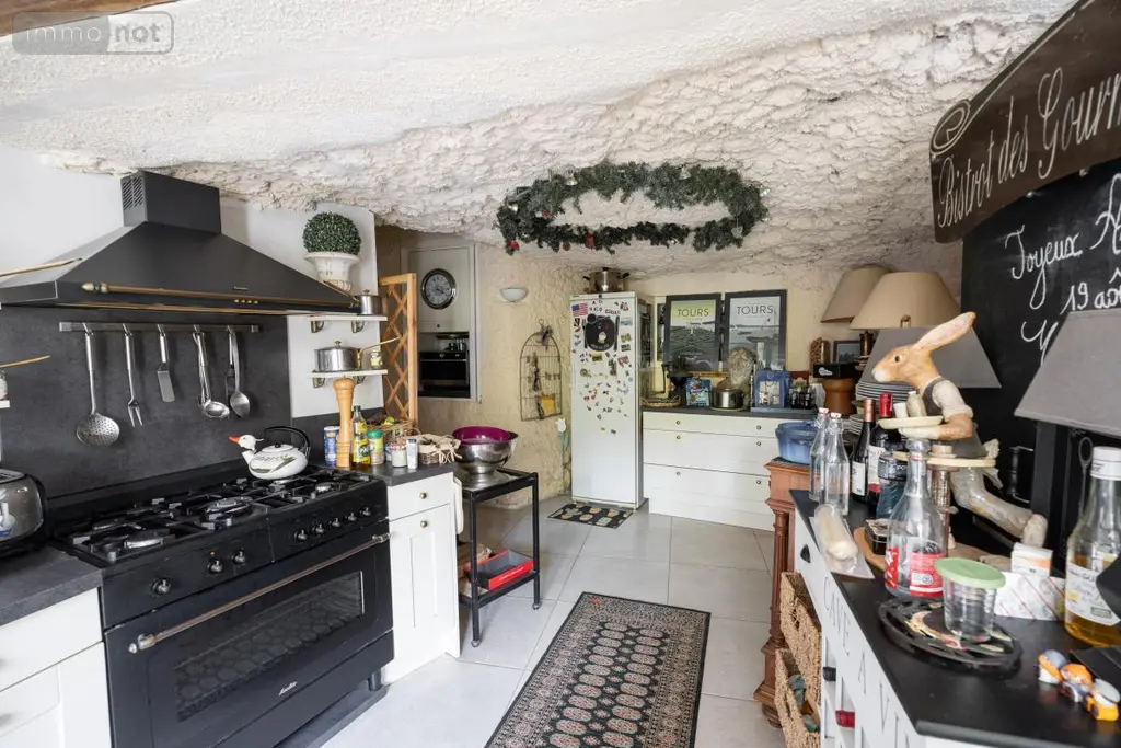 Maison a vendre Tours 37100 Indre-et-Loire 37 225 m2 7 pièces 850000 euros 37007-2778 012