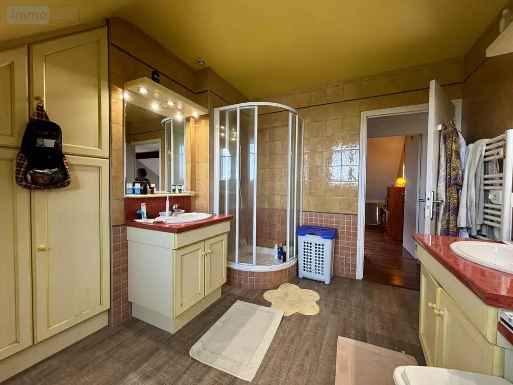 Maison a vendre Poitiers 86000 Vienne 86 235 m2 9 pièces 480000 euros 86001-44 020