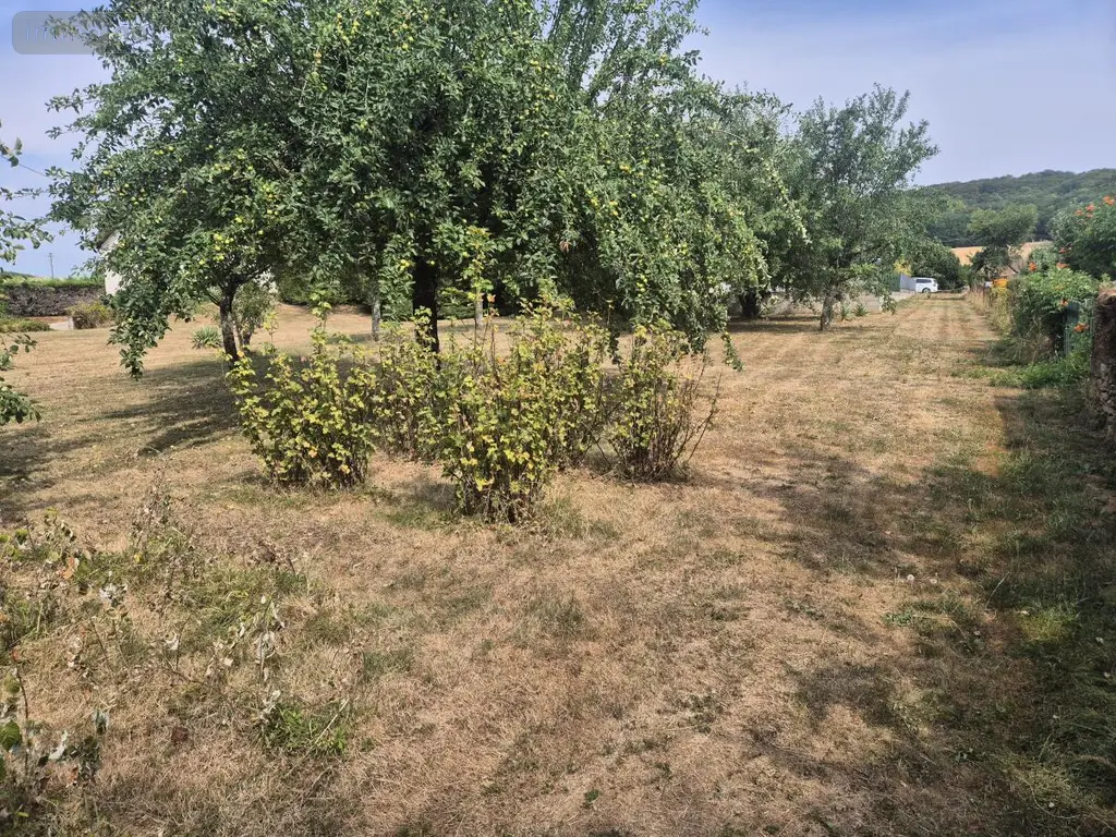 Terrain a batir a vendre Ougney 39350 Jura 39 44000 euros 25012-954 004