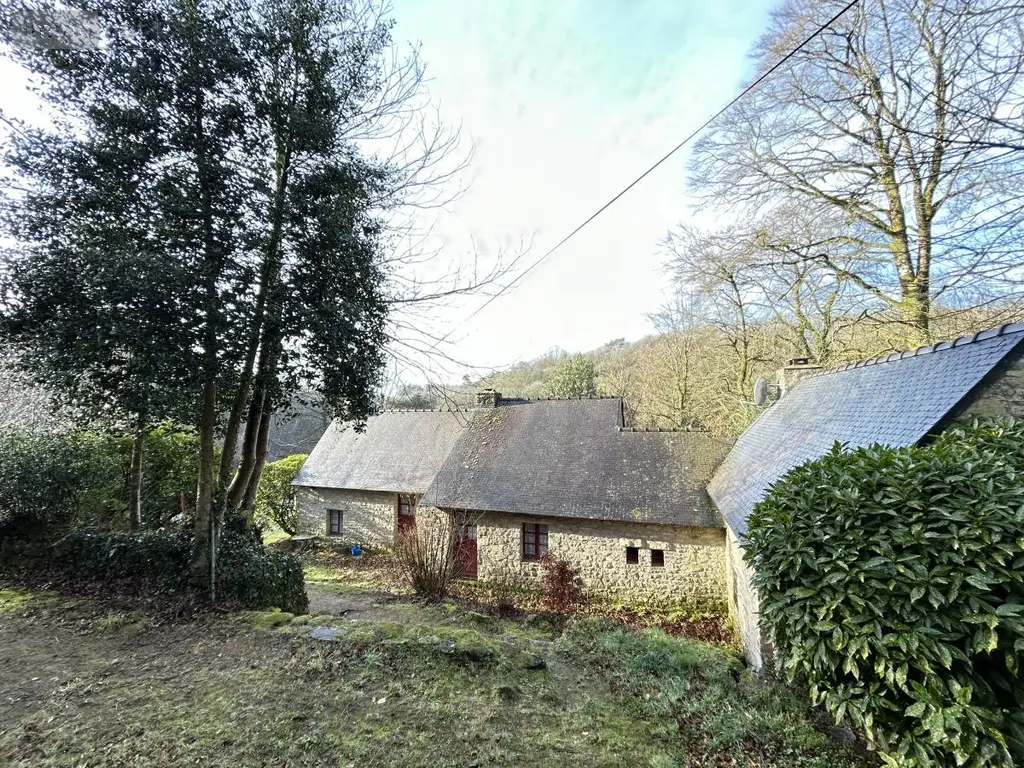 Maison a vendre Lizio 56460 Morbihan 56 260 m2 201900 euros 56046-1245 010
