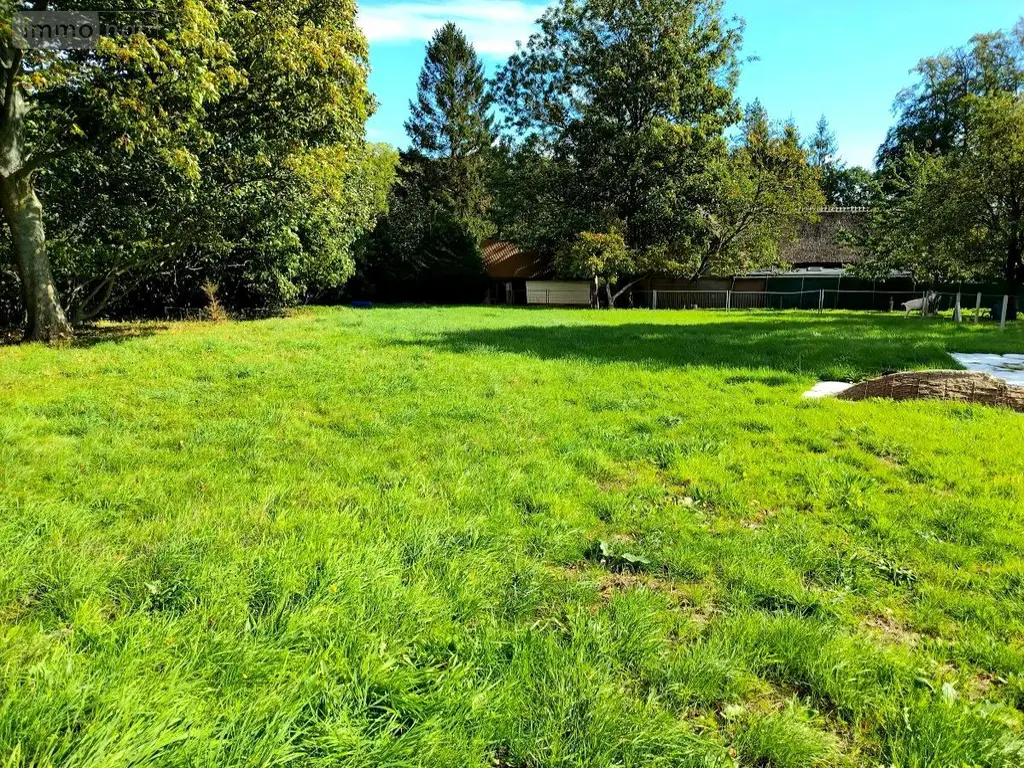 Terrain a batir a vendre Auzouville-Auberbosc 76640 Seine-Maritime 76 75000 euros 76087-53 002