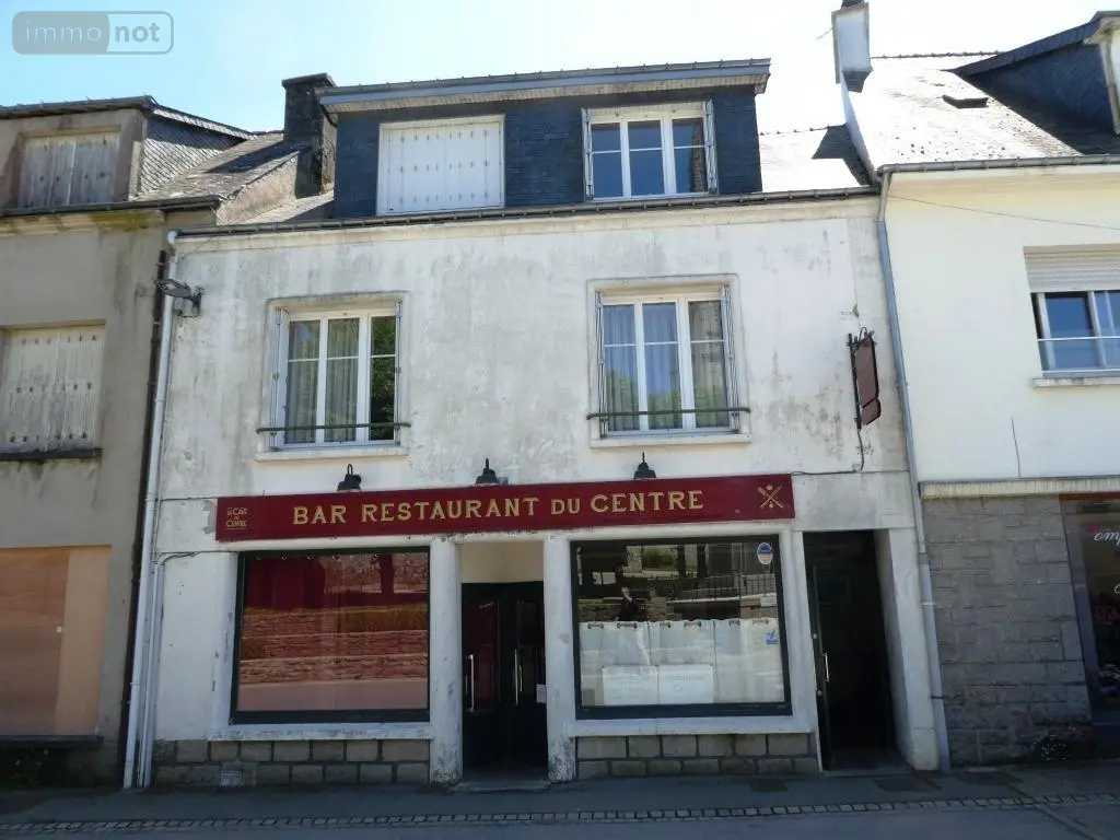 Immeuble de rapport a vendre Bubry 56310 Morbihan 56 400 m2 241600 euros 56075-2357 027