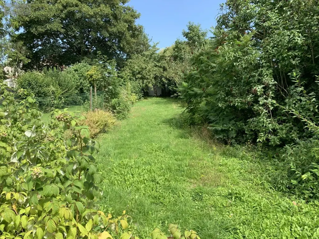 Location maison Arras 62000 Pas-de-Calais 62 125 m2 990 euros 62135-L1151 010