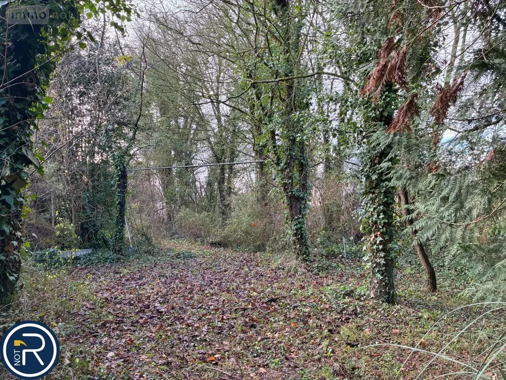 Maison a vendre Louverné 53950 Mayenne 53 124 m2 6 pièces 228800 euros 53004-1290 019