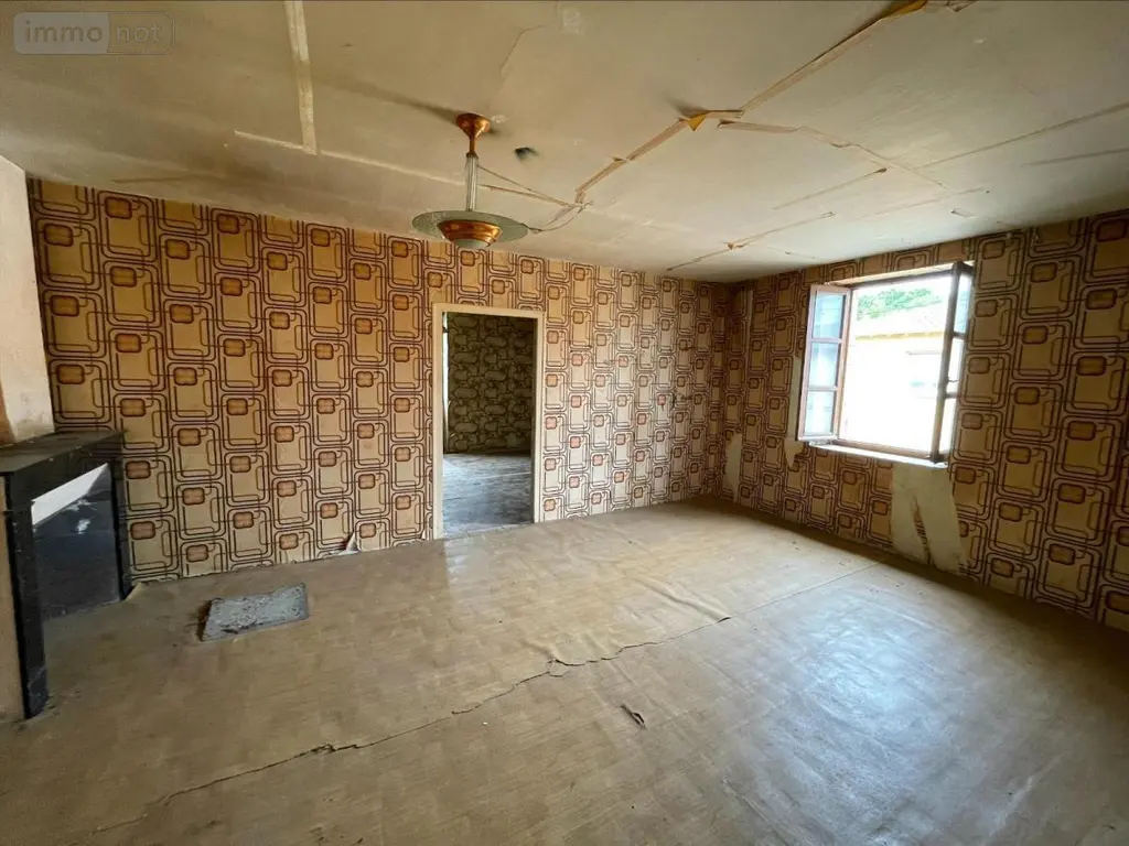 Maison a vendre Bâgé-Dommartin 01380 Ain 01 183 m2 5 pièces 95000 euros 01083-1899 013