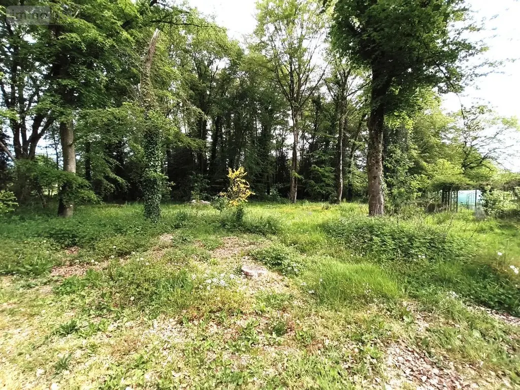 Maison a vendre Missillac 44780 Loire-Atlantique 44 129 m2 7 pièces 287375 euros 56014-793 015