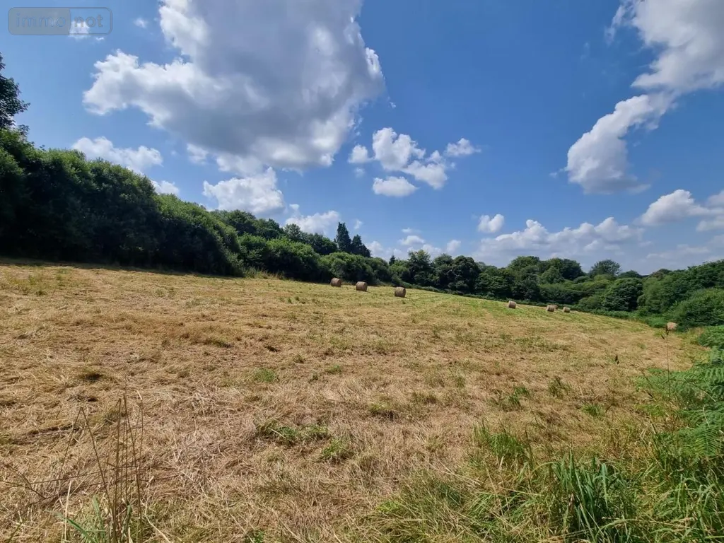 Terrains de loisirs bois etangs a vendre Plouray 56770 Morbihan 56 17500 euros 29066-3770 003