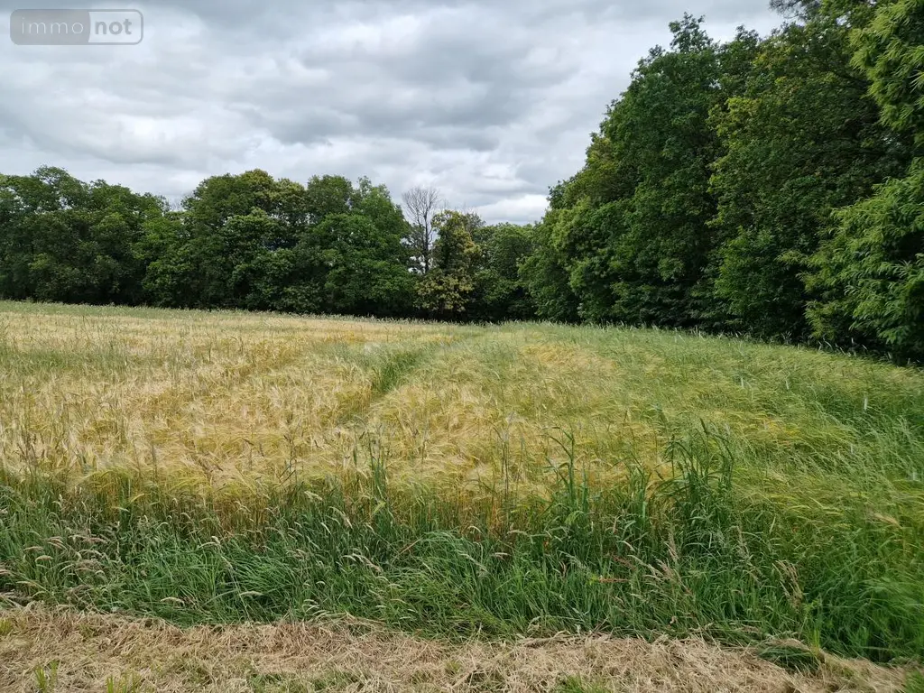 Terrains de loisirs bois etangs a vendre Val d'Oust 56460 Morbihan 56 1790 euros 56050-712 004