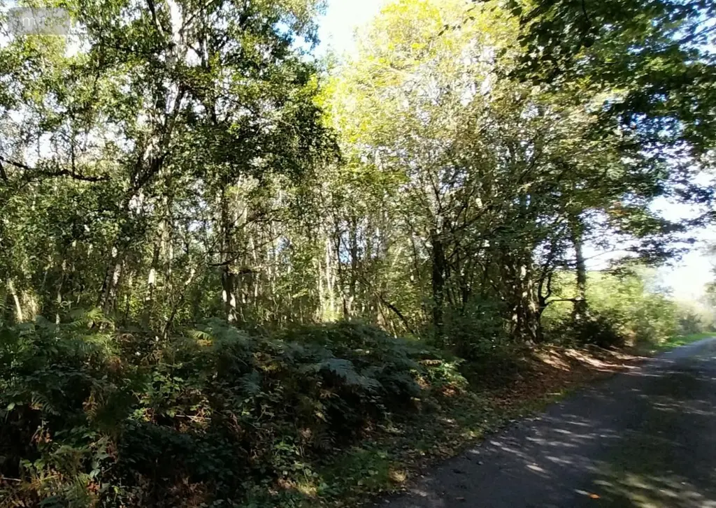 Terrains de loisirs bois etangs a vendre Le Bosc du Theil 27370 Eure 27 37000 euros 27061-1513 004