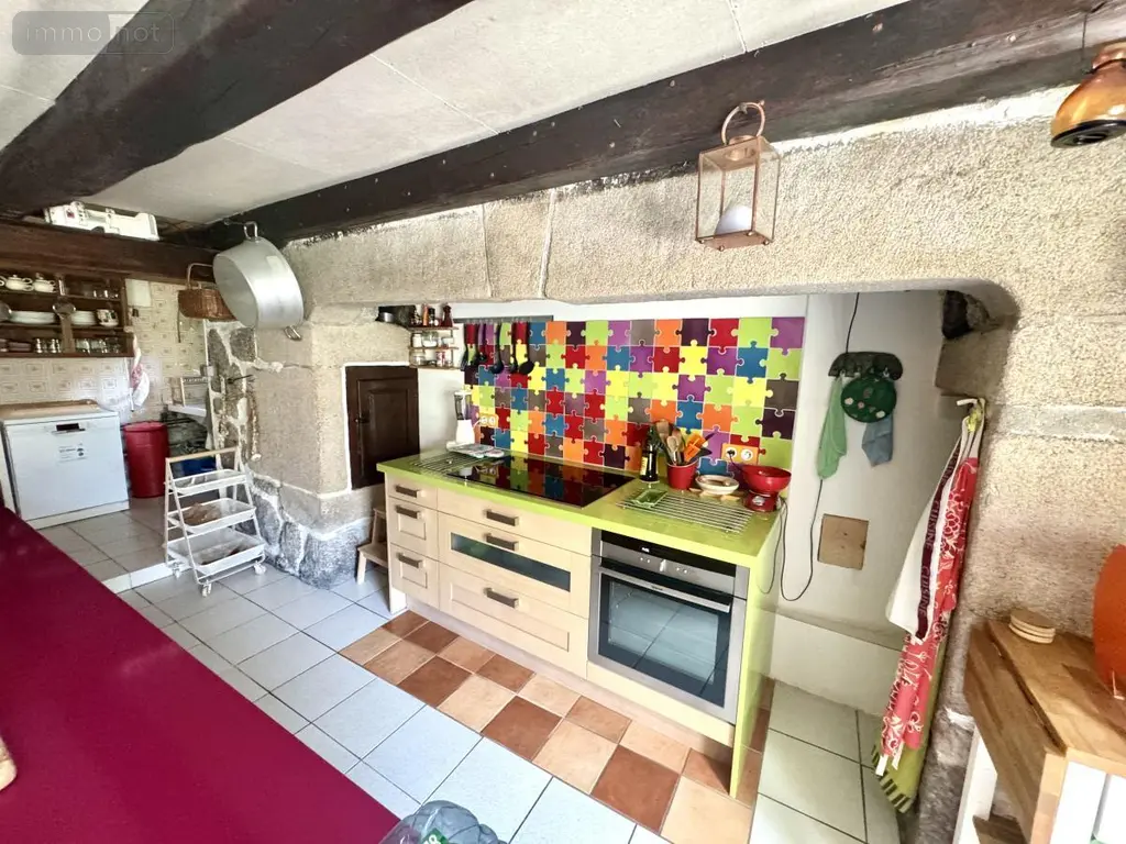 Maison a vendre Grandrieu 48600 Lozère 48 250 m2 368000 euros 48032-238 007