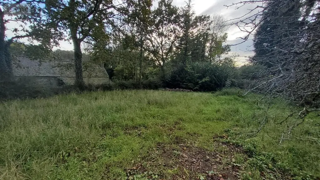 Terrain a batir a vendre Locmaria-Berrien 29690 Finistère 29 17500 euros 29066-3779 003