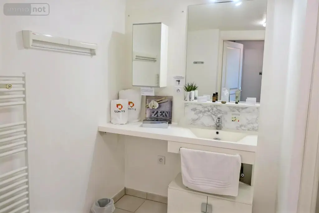 Appartement a vendre Saint-Doulchard 18230 Cher 18 45 m2 2 pièces 111000 euros 18005-1688 005