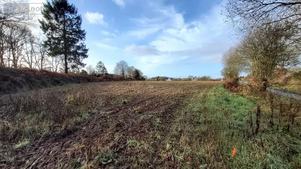 Terrain a batir a vendre Cléden-Poher 29270 Finistère 29 53235 euros 29066-3771 005