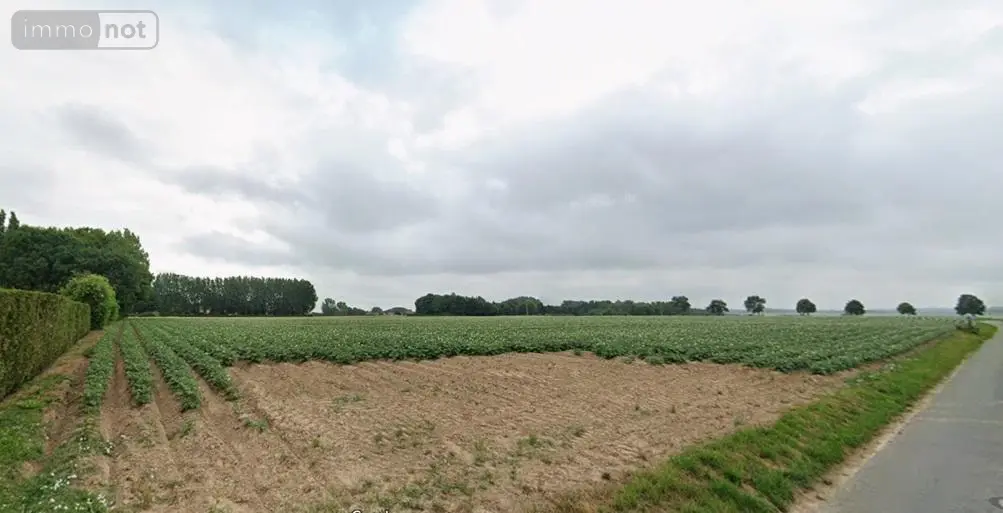 Terrain a batir a vendre Rely 62120 Pas-de-Calais 62 38500 euros 62050-1585 003
