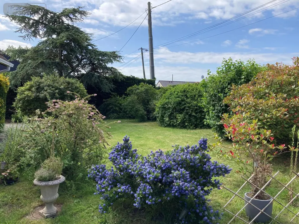 Maison a vendre Marck 62730 Pas-de-Calais 62 113 m2 5 pièces 260500 euros 62098-2258 004