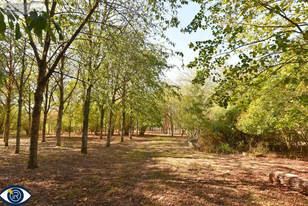 Terrains de loisirs bois etangs a vendre Vaiges 53480 Mayenne 53 69000 euros 53004-1365 002