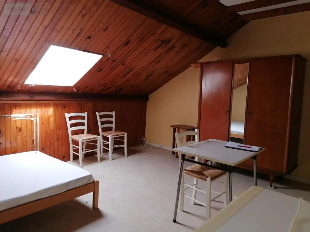 Immeuble de rapport a vendre Descartes 37160 Indre-et-Loire 37 183 m2 84000 euros 37082-252 005