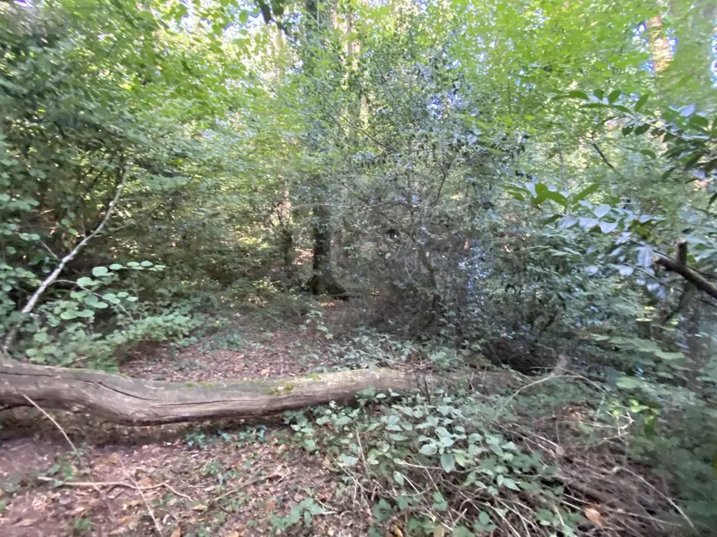 Maison a vendre Saint-Jean-Brévelay 56660 Morbihan 56 47 m2 2 pièces 59000 euros 56056-196 013