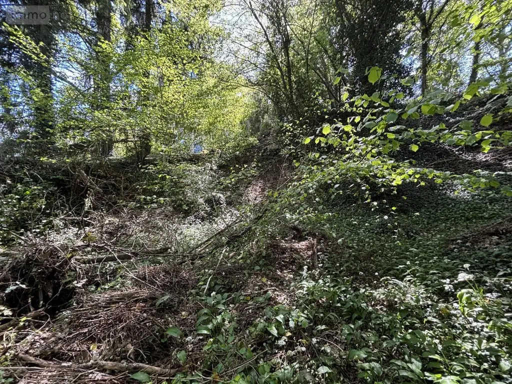 Terrain a batir a vendre Saint-Antoine-du-Rocher 37360 Indre-et-Loire 37 64200 euros 37037-17 002