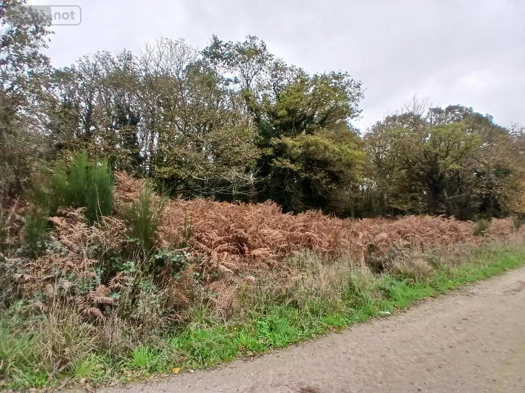 Terrains de loisirs bois etangs a vendre Allaire 56350 Morbihan 56 7500 euros 56084-354 003