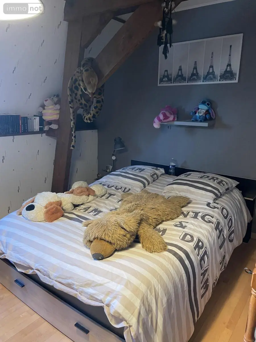 Maison a vendre Saint-Remy-Chaussée 59620 Nord 59 196 m2 9 pièces 262000 euros 59191-5903 014