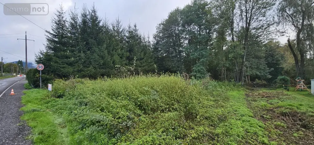 Terrain a batir a vendre Raon-l'Étape 88110 Vosges 88 63000 euros 88061-717 002