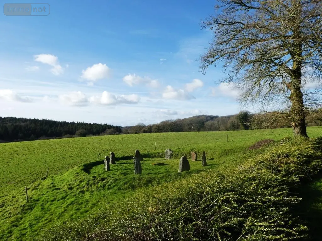 Maison a vendre Langoëlan 56160 Morbihan 56 280 m2 10 pièces 367000 euros 56075-2346 025