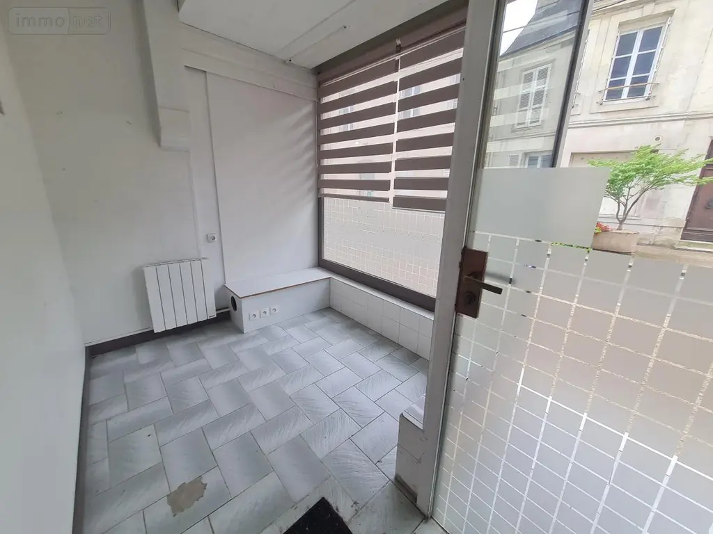Immeuble de rapport a vendre Montoire-sur-le-Loir 41800 Loir-et-Cher 41 100 m2 99800 euros 41059-940 002