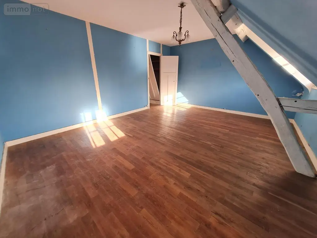 Maison a vendre Ternay 41800 Loir-et-Cher 41 243 m2 8 pièces 150655 euros 41059-987 013