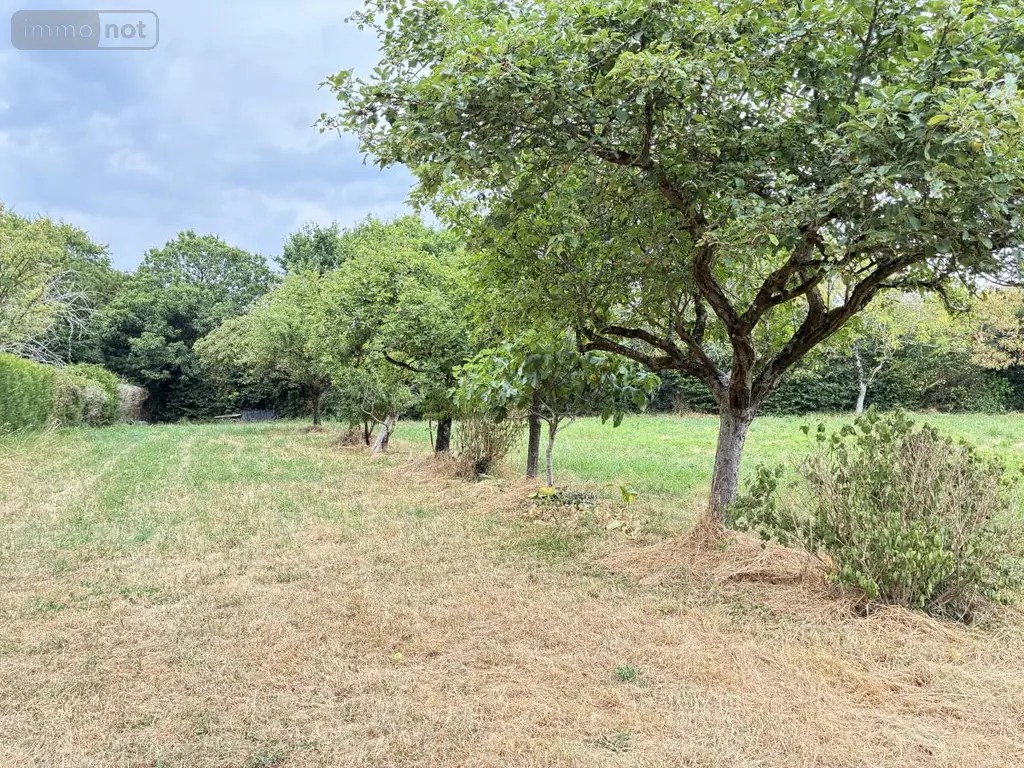 Terrains de loisirs bois etangs a vendre Brée 53150 Mayenne 53 69000 euros 53004-1342 013