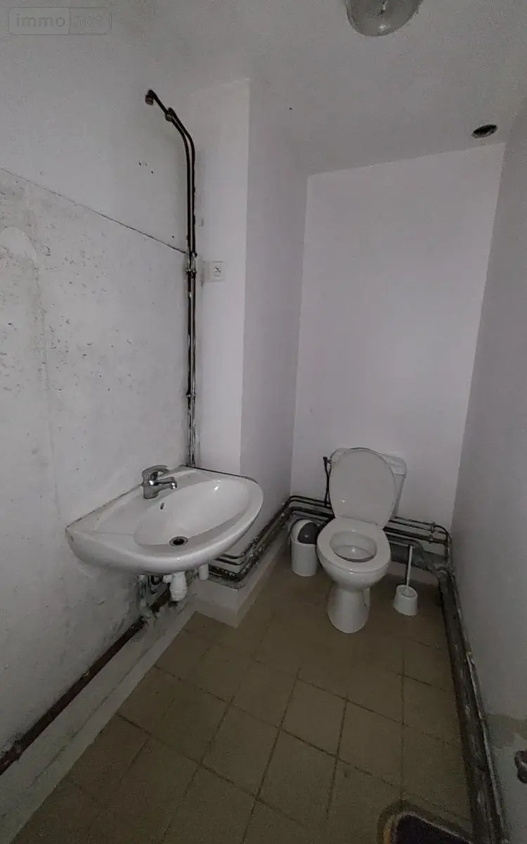 Location immeuble de rapport Carhaix-Plouguer 29270 Finistère 29 500 m2 3000 euros 29066-L54 006