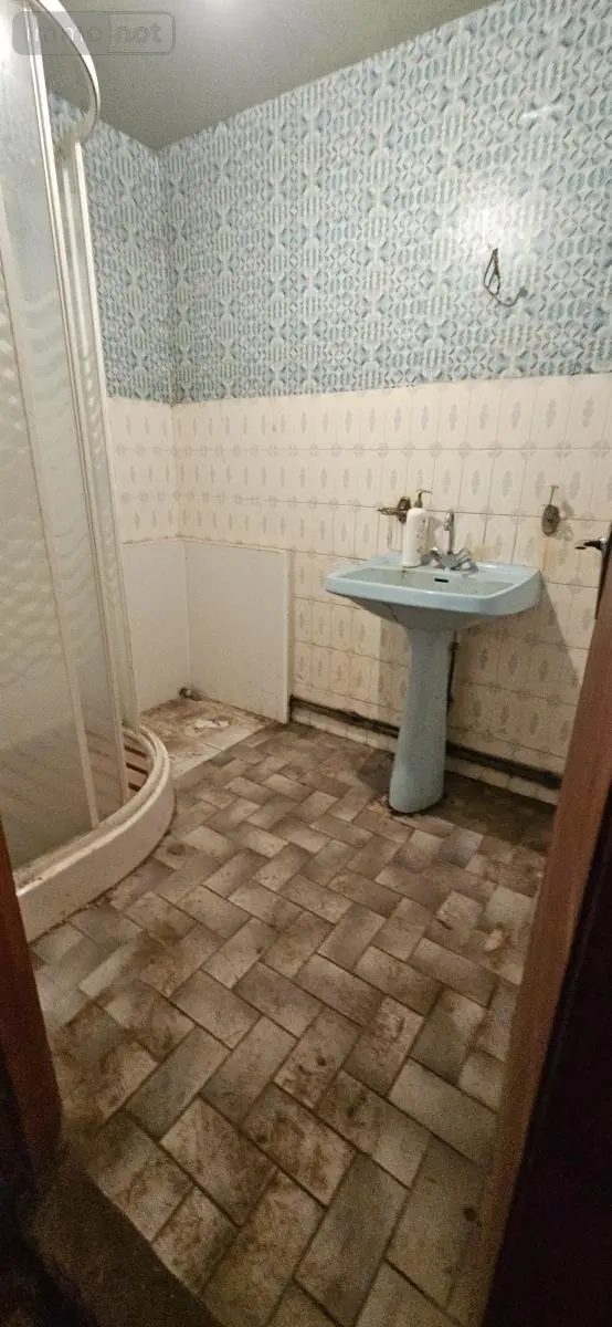 Maison a vendre Ménil-sur-Belvitte 88700 Vosges 88 114 m2 99000 euros 88061-822 010