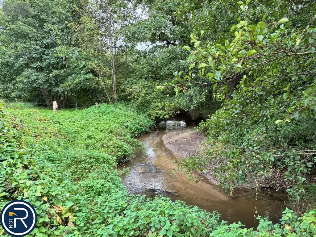 Terrains de loisirs bois etangs a vendre Montaudin 53220 Mayenne 53 13500 euros 53004-1253 009