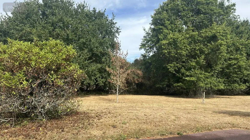Maison a vendre Séné 56860 Morbihan 56 140 m2 641343 euros 56003-1466 032