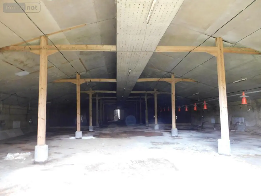Divers a vendre Notre-Dame-du-Pé 72300 Sarthe 72 760 m2 21200 euros 49096-1402 004