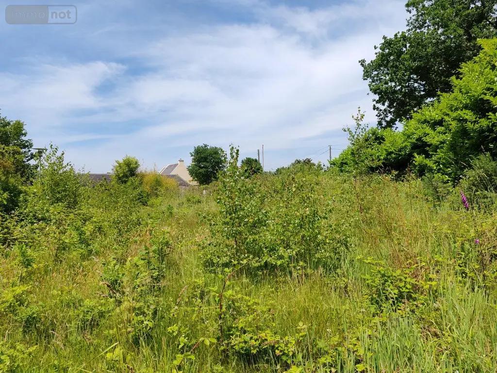 Immeuble de rapport a vendre Plounéour-Ménez 29410 Finistère 29 150 m2 79050 euros 29107-2759 014
