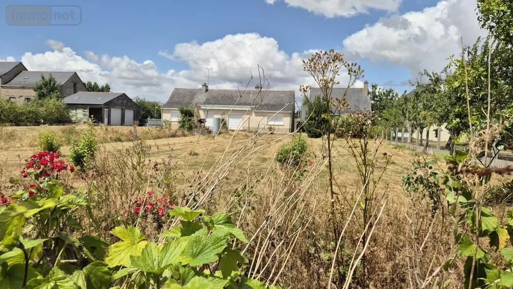 Terrain a batir a vendre Angrie 49440 Maine-et-Loire 49 49500 euros 49095-1591 002