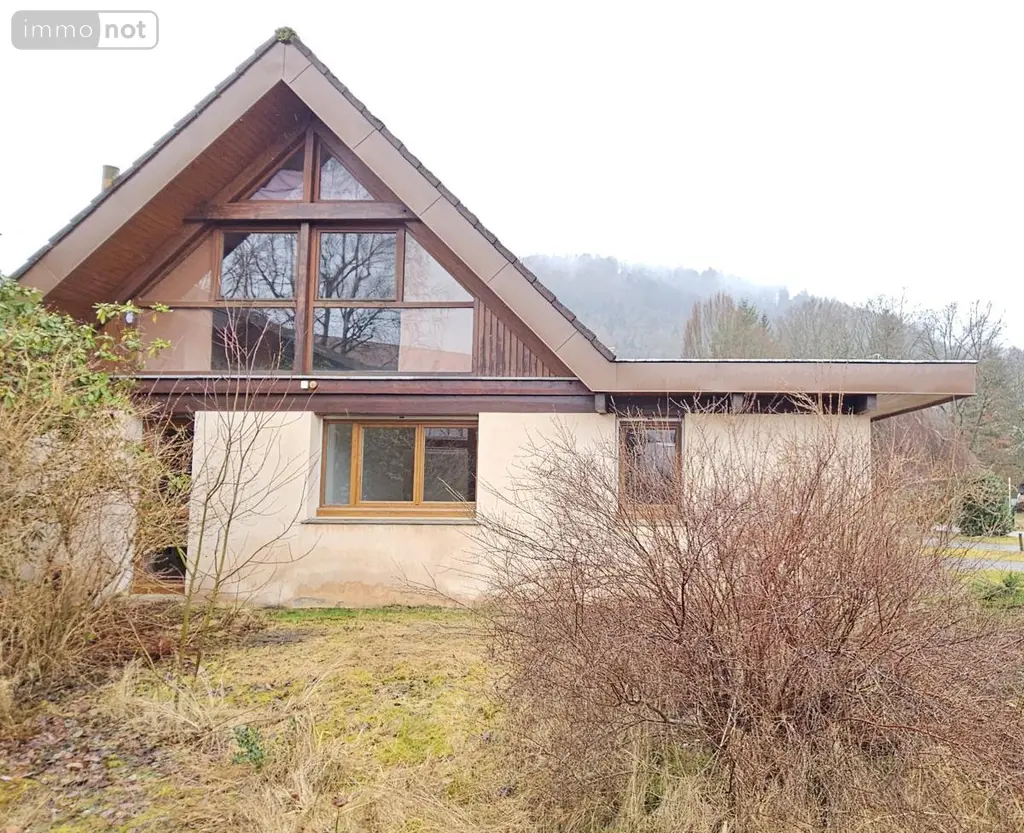 Immeuble de rapport a vendre Granges-Aumontzey 88640 Vosges 88 167 m2 136000 euros 88061-832 002