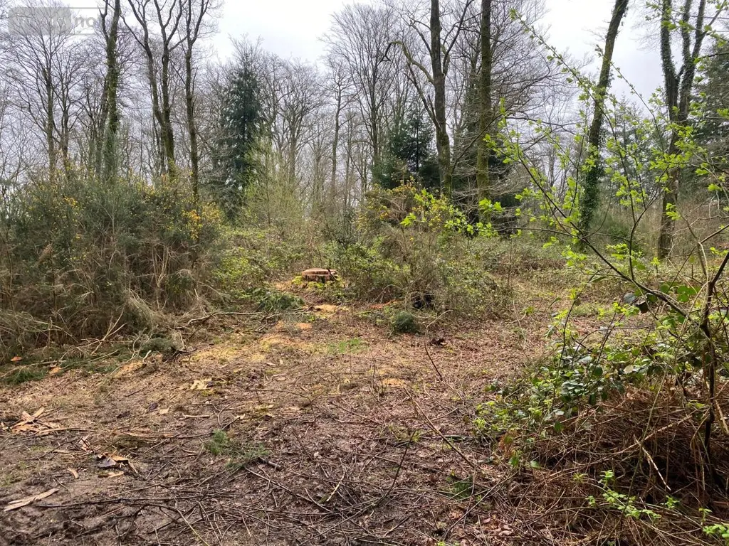 Terrains de loisirs bois etangs a vendre Champ-du-Boult 14380 Calvados 14 56710 euros 14076-5853 004