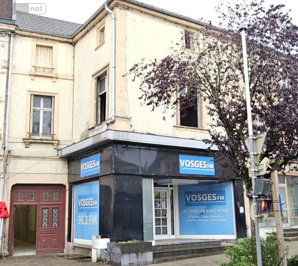 Immeuble de rapport a vendre Bruyères 88600 Vosges 88 200 m2 89000 euros 88061-877 001