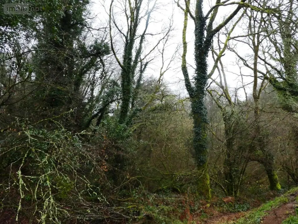 Terrains de loisirs bois etangs a vendre Saint-Tugdual 56540 Morbihan 56 10600 euros 56075-2343 003