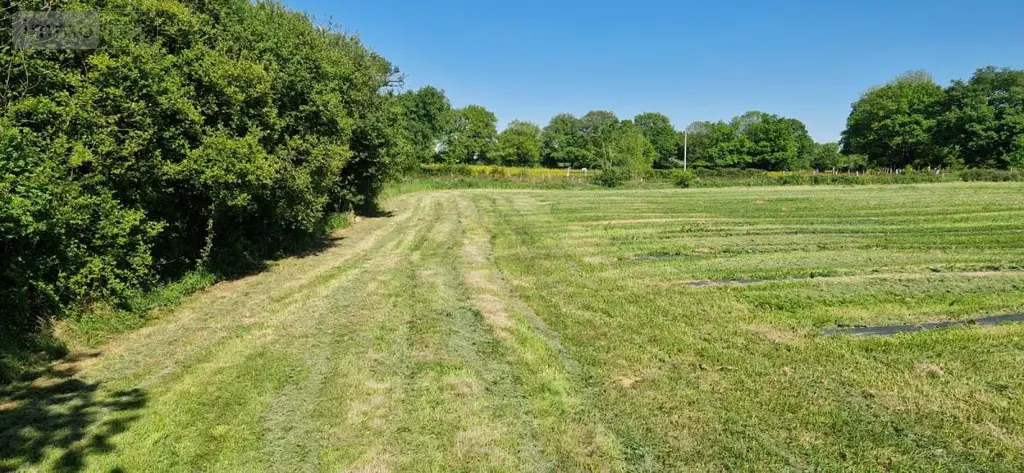 Terrains de loisirs bois etangs a vendre Entrammes 53260 Mayenne 53 28600 euros 53005-2091 002