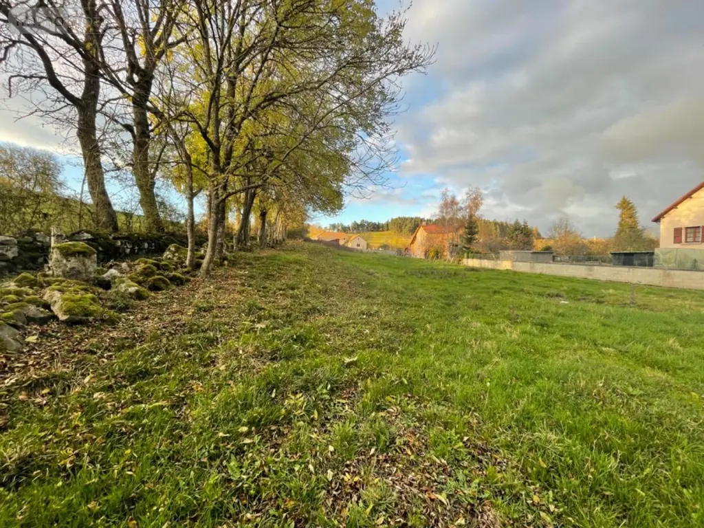 Terrain a batir a vendre Le Malzieu-Ville 48140 Lozère 48 49000 euros 48032-102 003